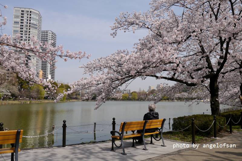 P1230281.JPG P1230281.JPG