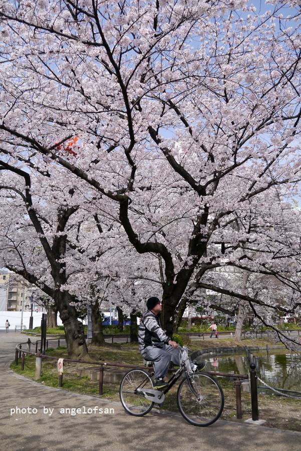 P1230300.JPG P1230300.JPG