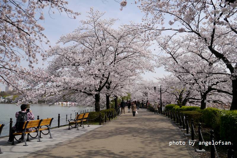 P1230298.JPG P1230298.JPG