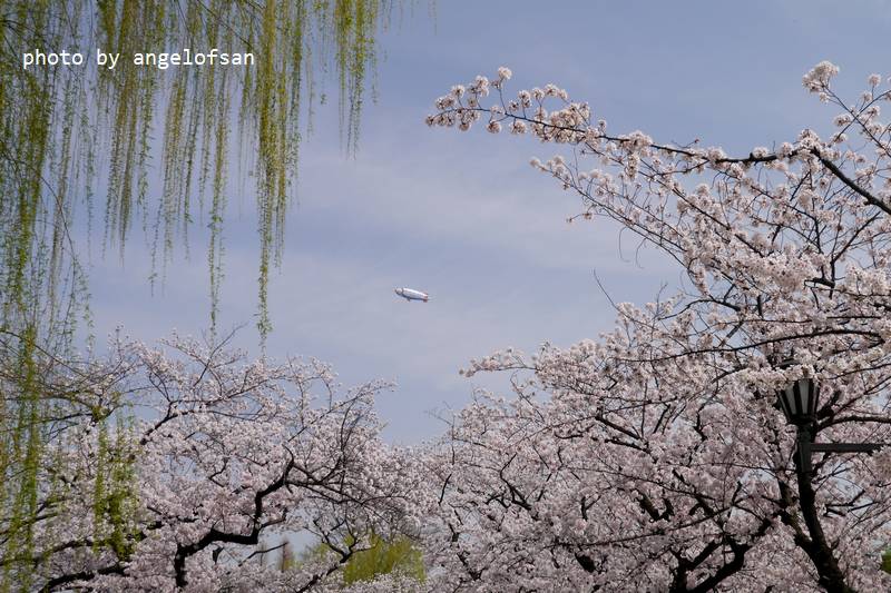 P1230307.JPG P1230307.JPG