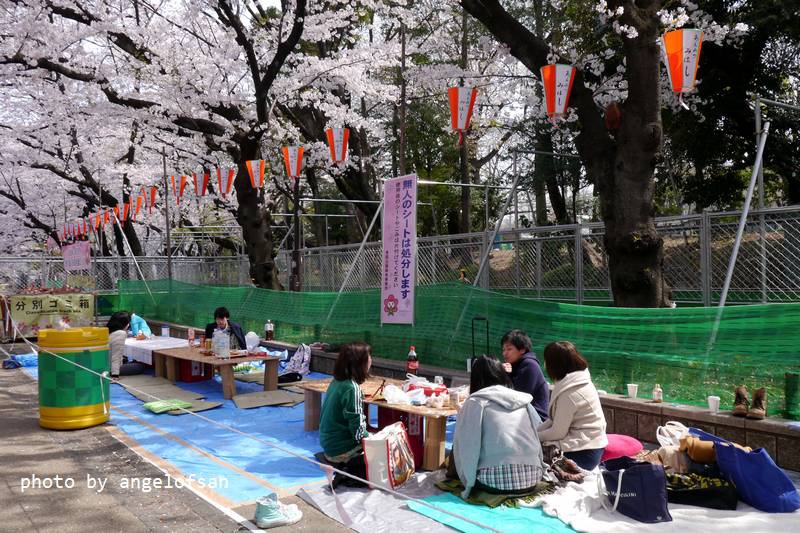 P1230339.JPG P1230339.JPG