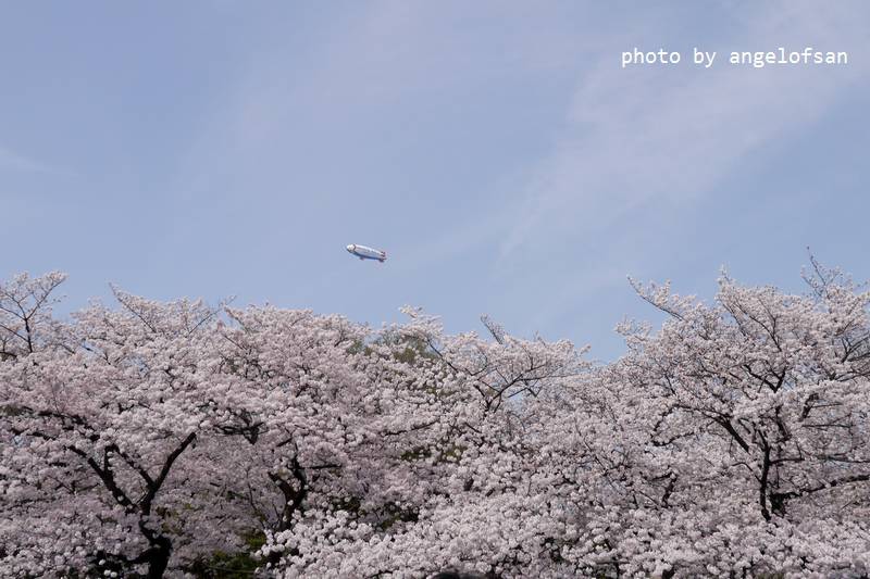 P1230357.JPG P1230357.JPG