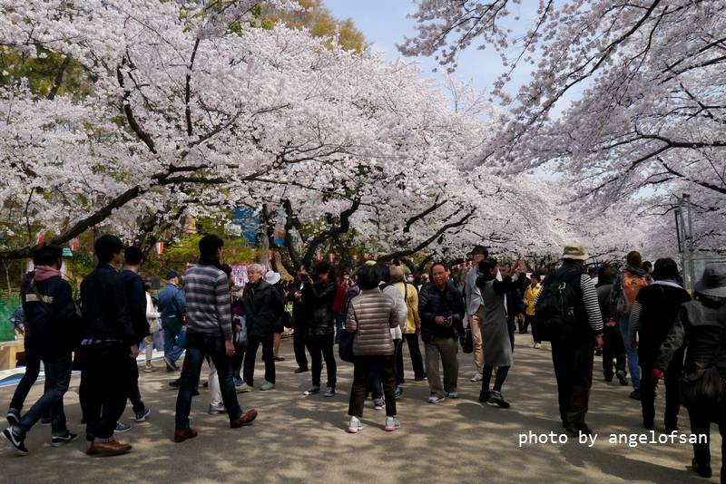 P1230340.JPG P1230340.JPG