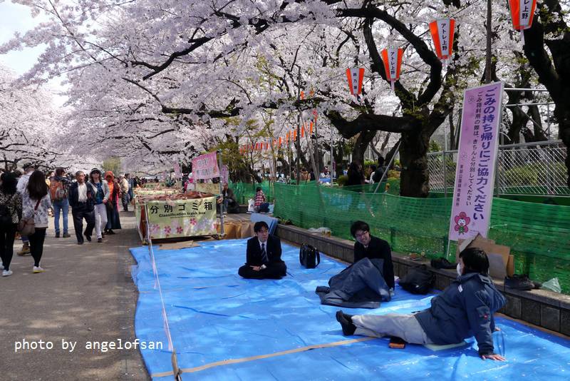 P1230343.JPG P1230343.JPG