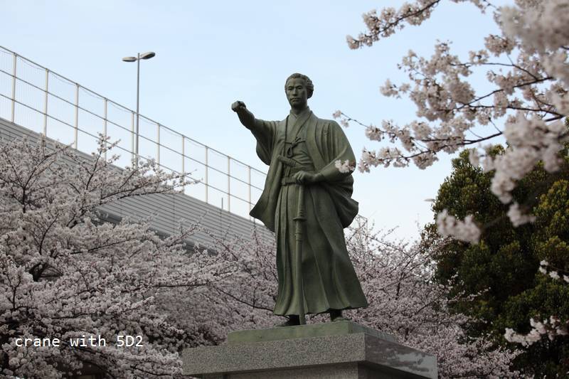 IMG_7874.JPG IMG_7874.JPG