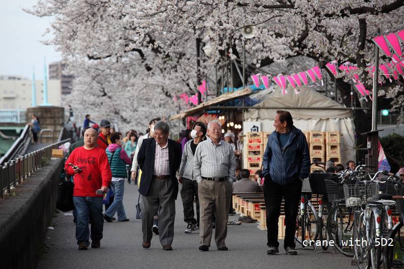 IMG_7893.JPG IMG_7893.JPG