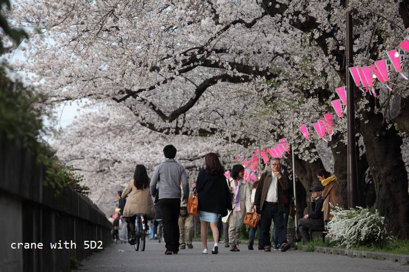 IMG_7911.JPG IMG_7911.JPG