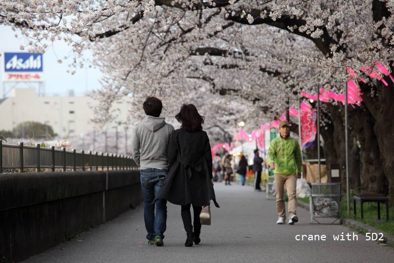 IMG_7923.JPG IMG_7923.JPG