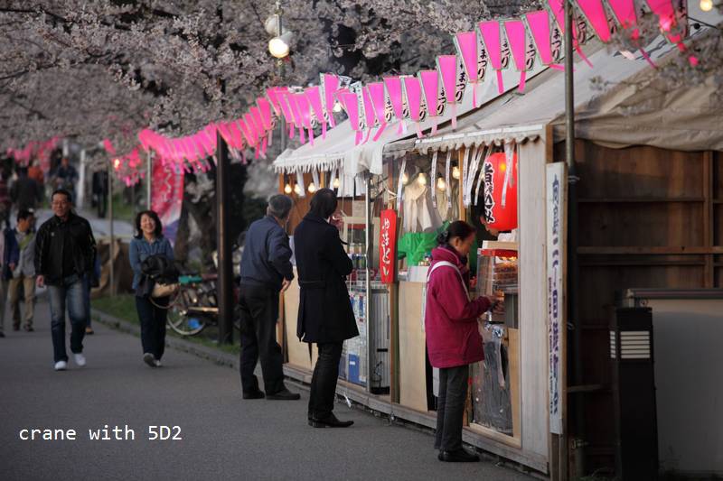 IMG_7953.JPG IMG_7953.JPG