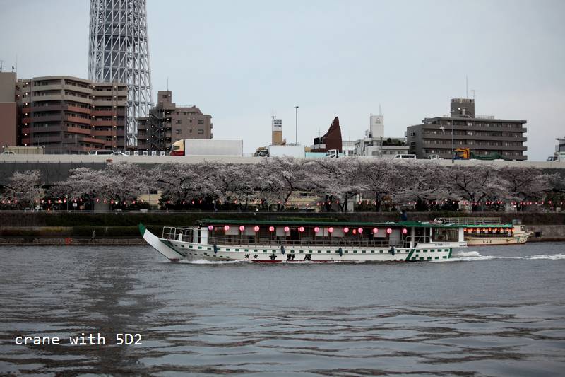 IMG_7984.JPG IMG_7984.JPG