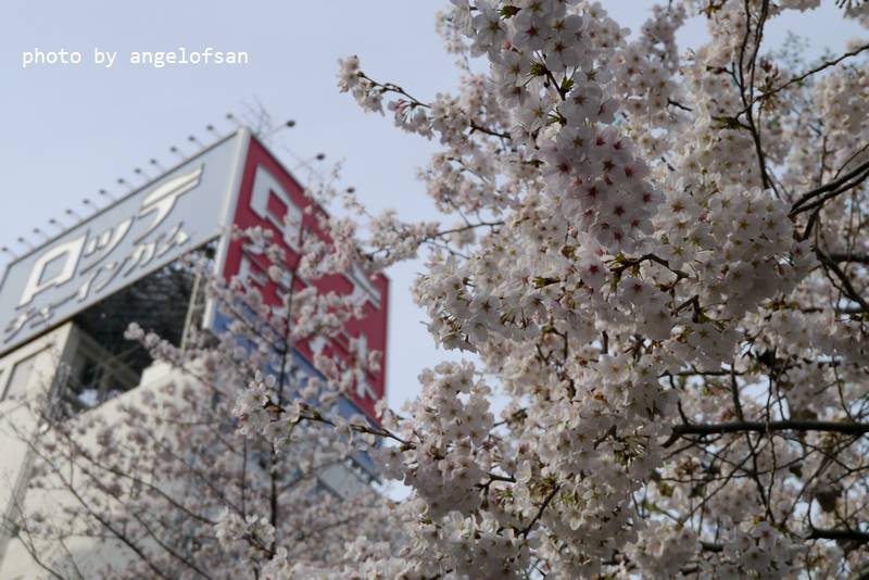 P1220362.JPG P1220362.JPG