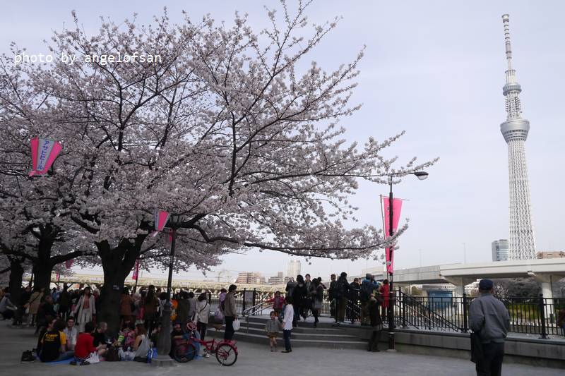 P1220350.JPG P1220350.JPG