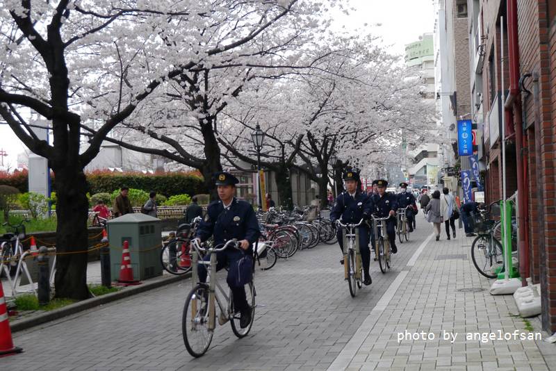 P1220399.JPG P1220399.JPG