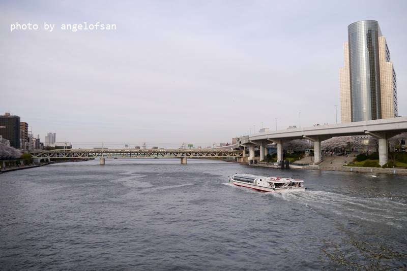 P1220411.JPG P1220411.JPG