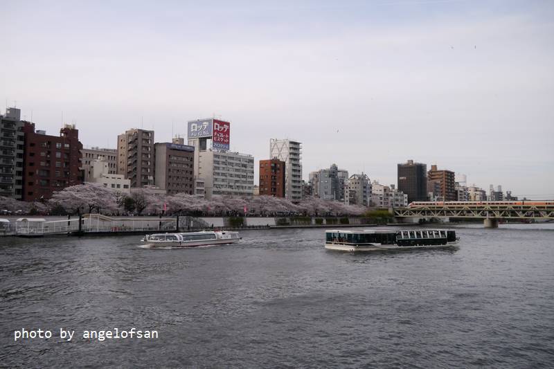 P1220434.JPG P1220434.JPG