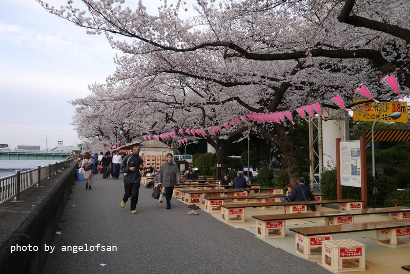 P1220469.JPG P1220469.JPG