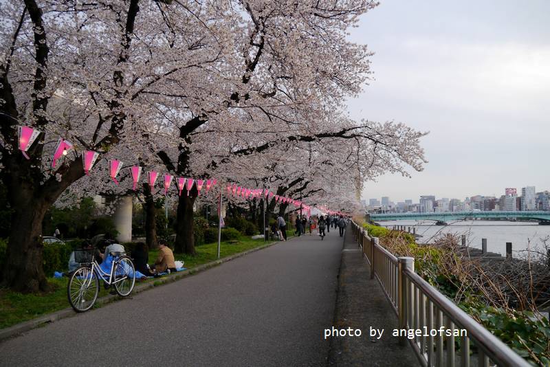 P1220500.JPG P1220500.JPG