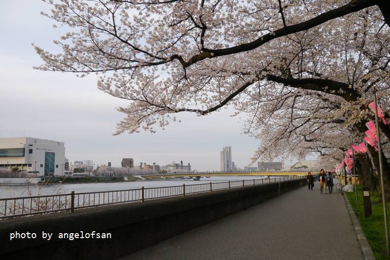 P1220485.JPG P1220485.JPG