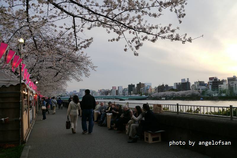 P1220504.JPG P1220504.JPG