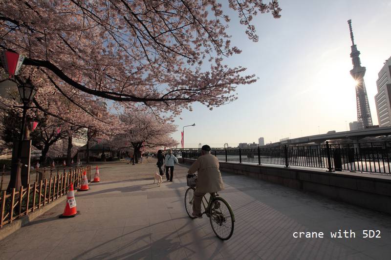 IMG_8015.JPG IMG_8015.JPG