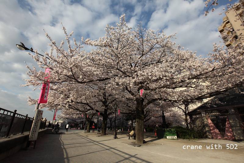 IMG_8029.JPG IMG_8029.JPG