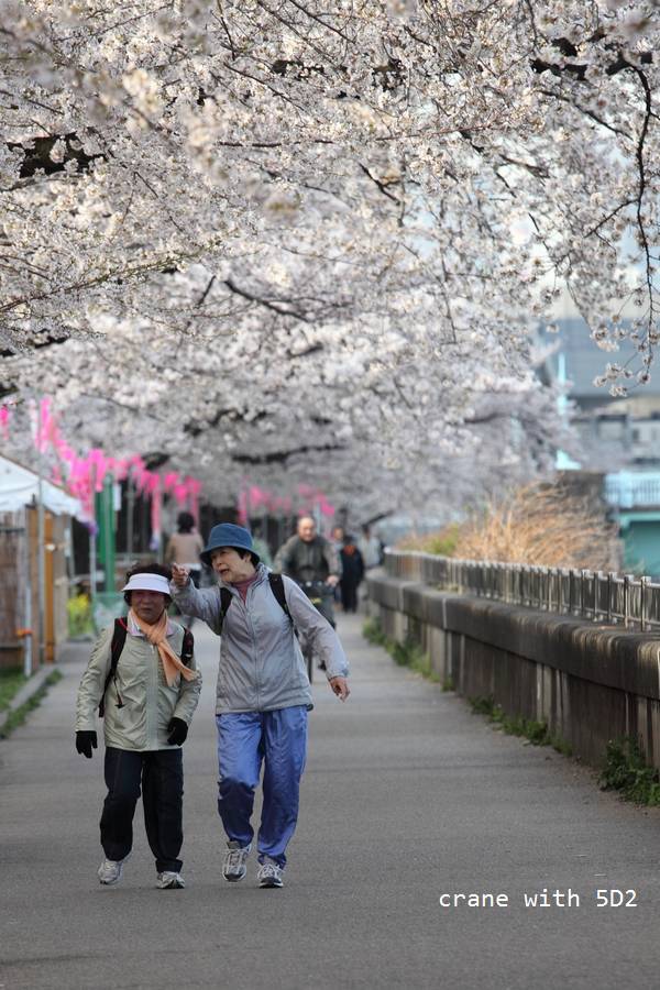 IMG_8081.JPG IMG_8081.JPG