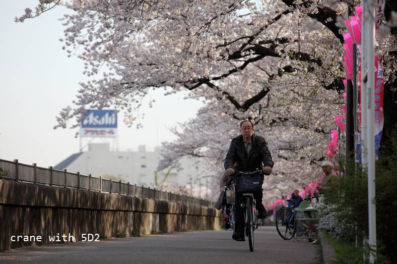 IMG_8105.JPG IMG_8105.JPG