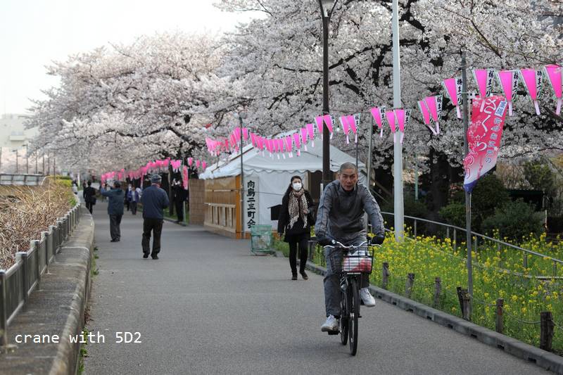 IMG_8095.JPG IMG_8095.JPG