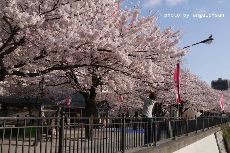 P1220607.JPG P1220607.JPG