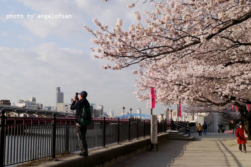 P1220616.JPG P1220616.JPG