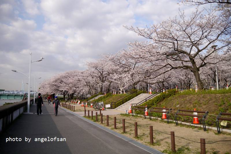 P1220648.JPG P1220648.JPG