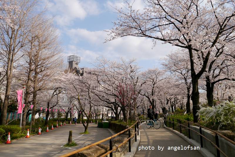 P1220641.JPG P1220641.JPG