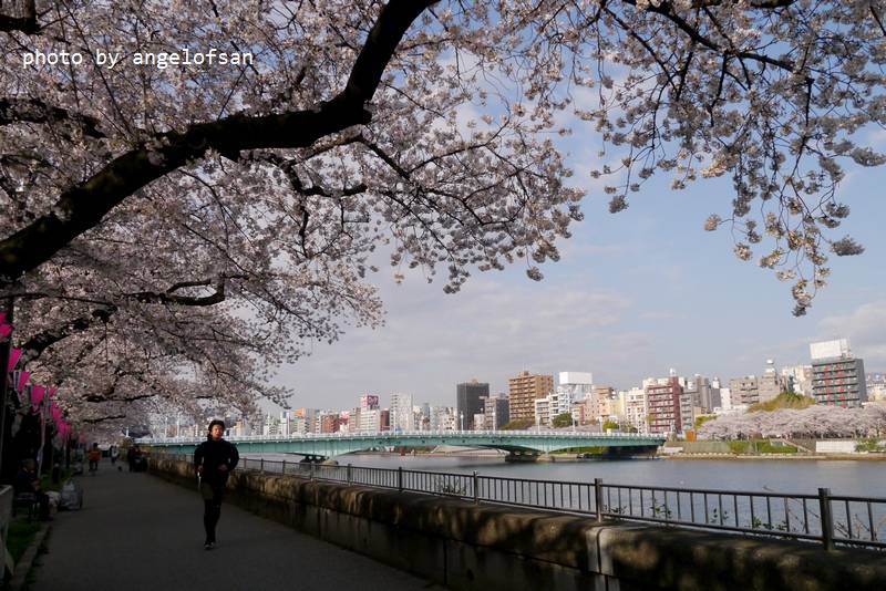 P1220671.JPG P1220671.JPG