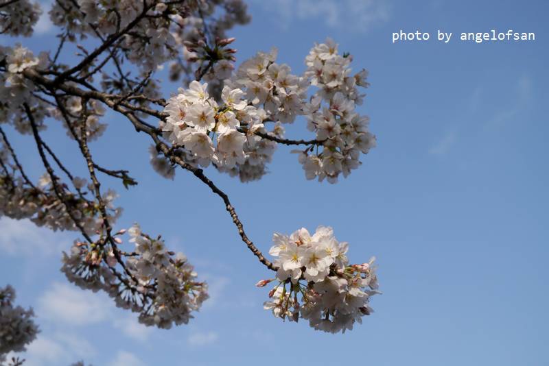 P1220678.JPG P1220678.JPG