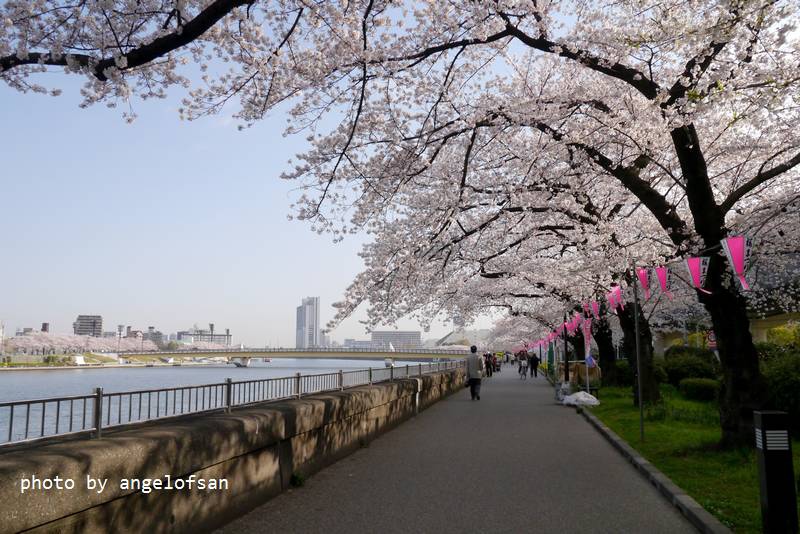 P1220683.JPG P1220683.JPG