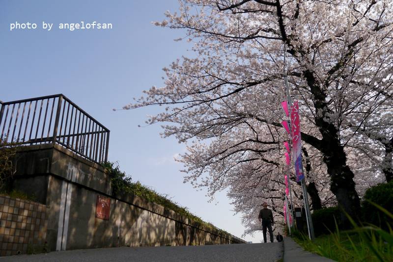 P1220693.JPG P1220693.JPG