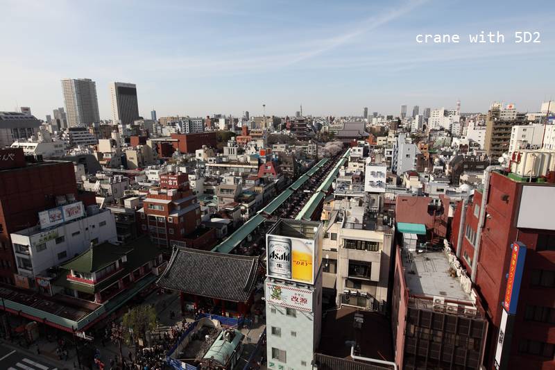 IMG_7690.JPG IMG_7690.JPG