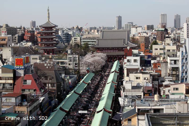 IMG_7704.JPG IMG_7704.JPG