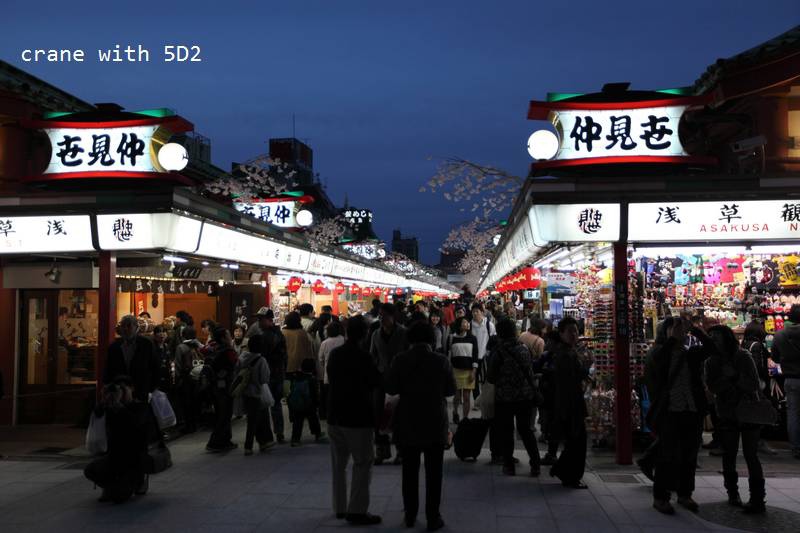 IMG_8004.JPG IMG_8004.JPG