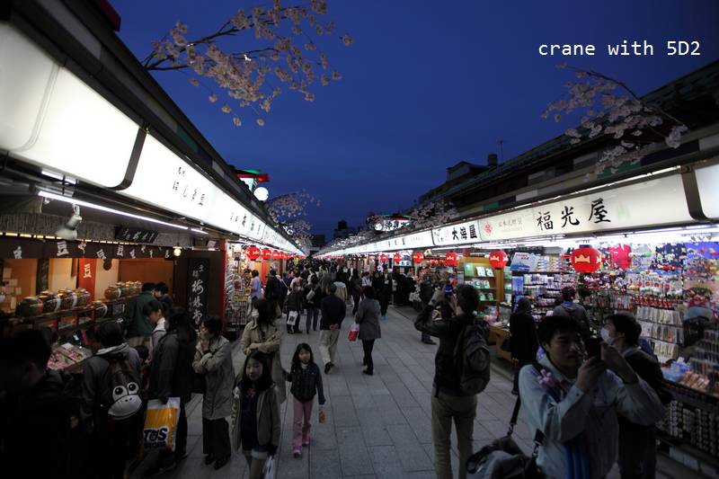 IMG_8005.JPG IMG_8005.JPG