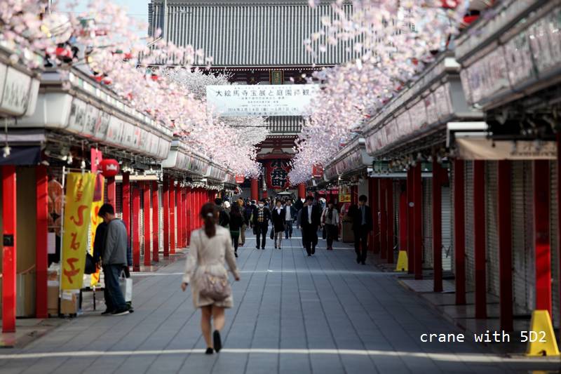 IMG_8118.JPG IMG_8118.JPG