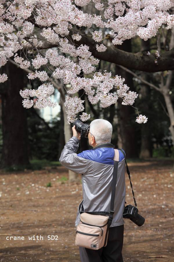 IMG_8126.JPG IMG_8126.JPG