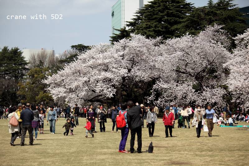 IMG_8175.JPG IMG_8175.JPG