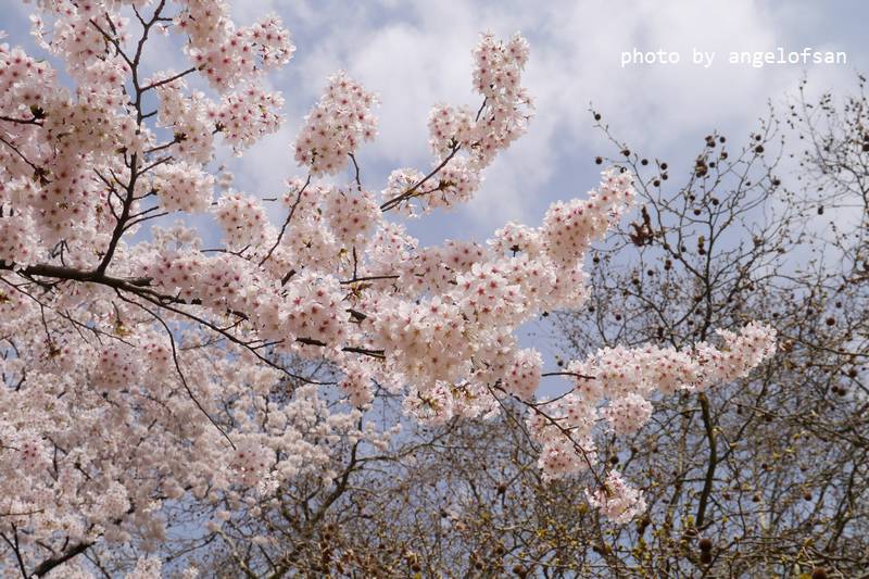 P1220748.JPG P1220748.JPG