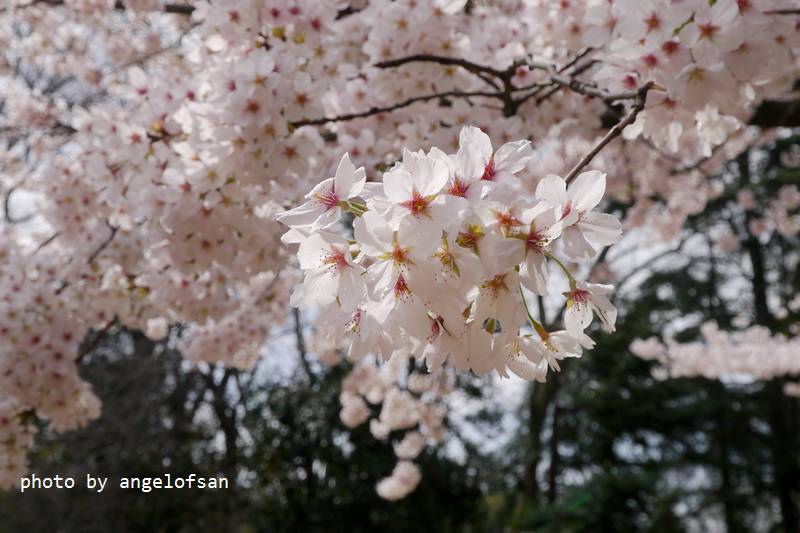 P1220751.JPG P1220751.JPG