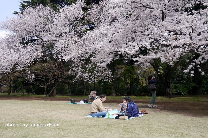 P1220771.JPG P1220771.JPG