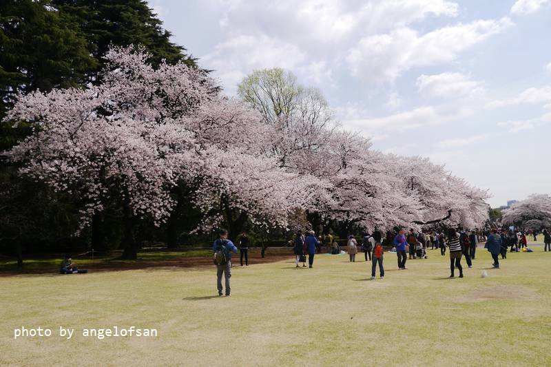 P1220769.JPG P1220769.JPG