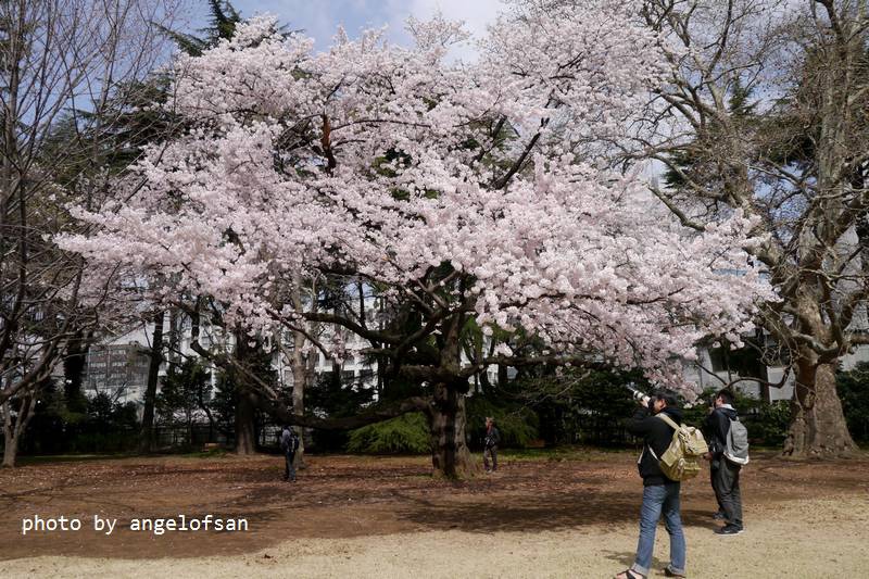 P1220753.JPG P1220753.JPG