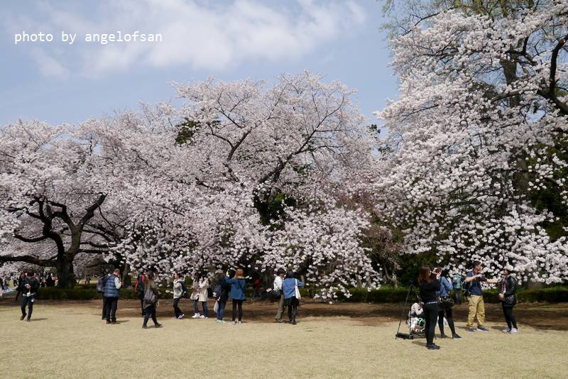 P1220780.JPG P1220780.JPG