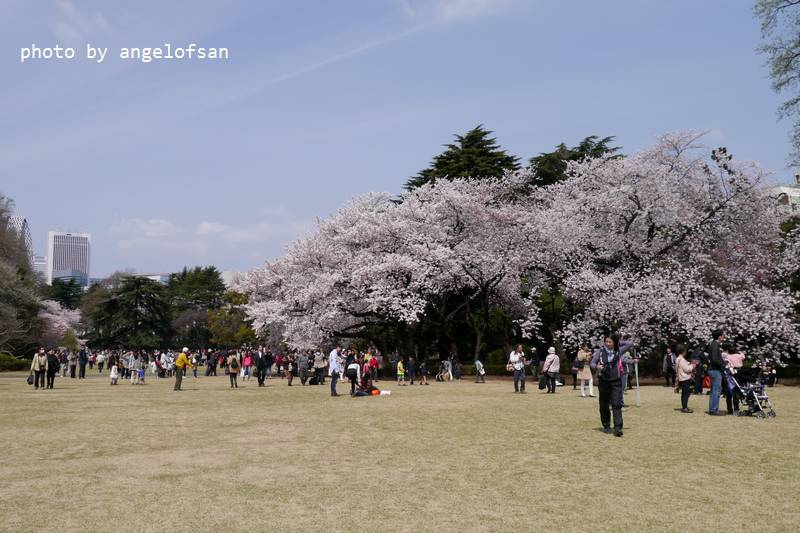 P1220785.JPG P1220785.JPG